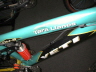 tt-dentws